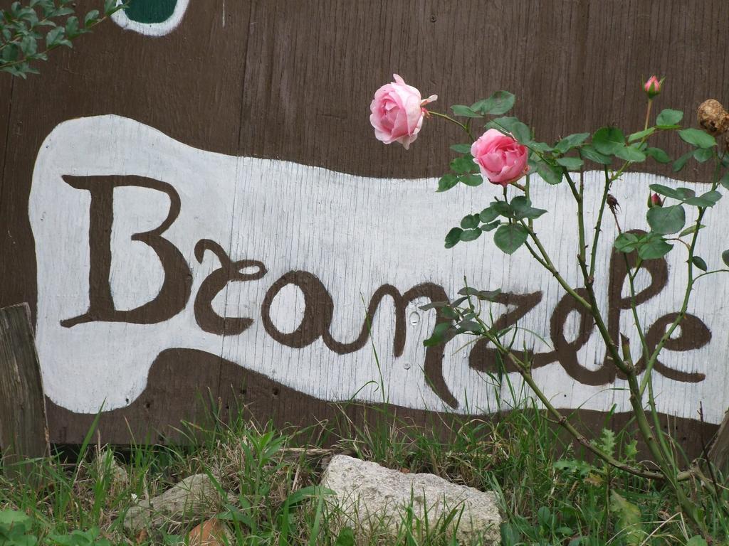 Casa Branzele Panzió Trezzo Tinella Kültér fotó